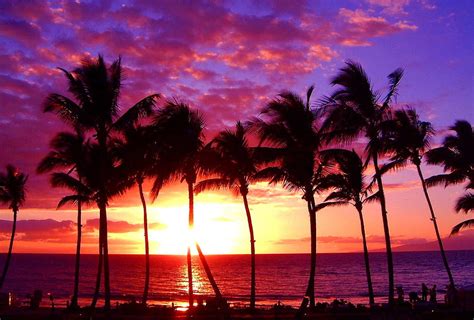 Beach Maui Hawaii Sunset Ocean Tropical Paradise Nature For Your