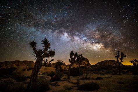 Milky Way And Stars Over Joshua Tree Desert Stock Photo Download