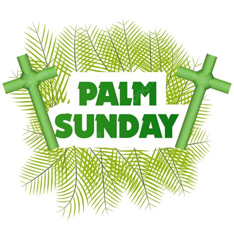 Palm Sunday Vector Art Png Beautiful Palm Sunday Vector Design Palm