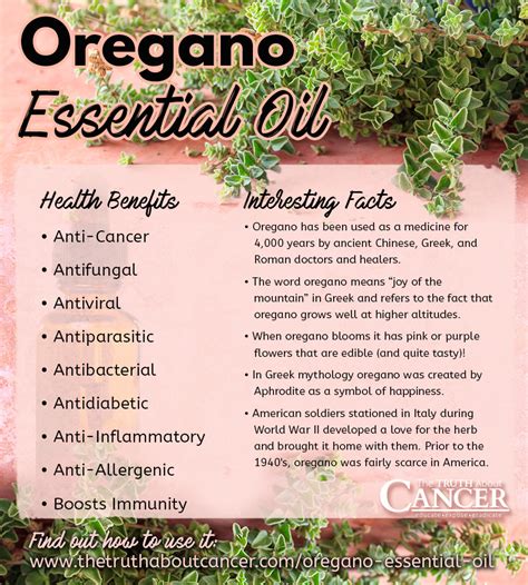 14 Practical Tips For Using Oregano Essential Oil