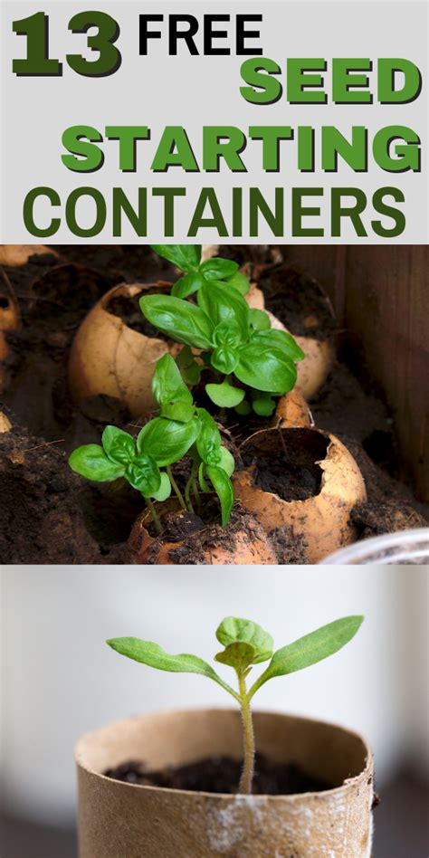 Free Seed Starting Containers
