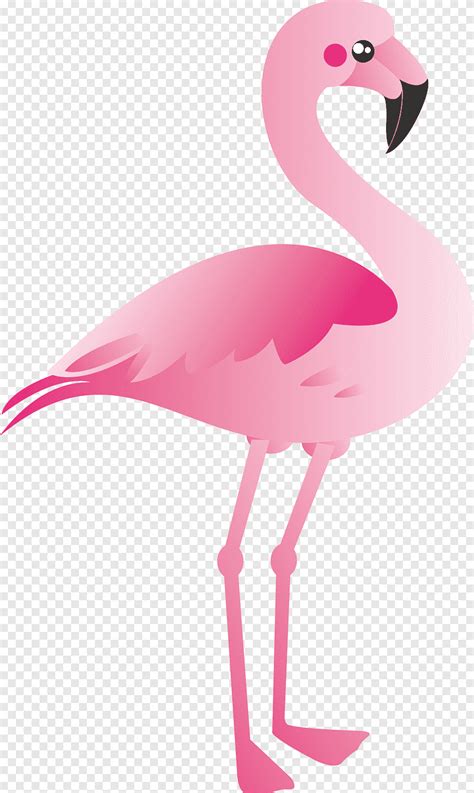 Pink Flamingos Cartoon