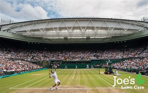 How To Make Your Lawn Look Like Centre Court At Wimbledon Joes Lawn Care