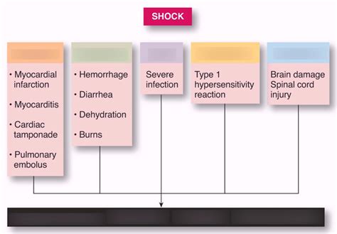 Rx 316 Types Of Shock Diagram Quizlet