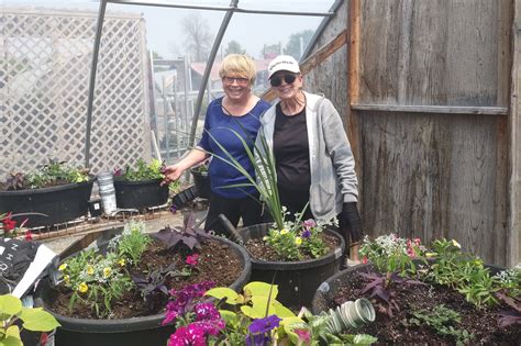 Ripley And District Horticultural Society Buzzing With Activity In May