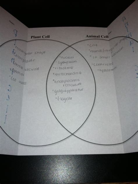 When looking under a microscope, the cell wall is an easy way to distinguish plant cells. Bookish Ways in Math and Science: Unit Resource Portfolio ...