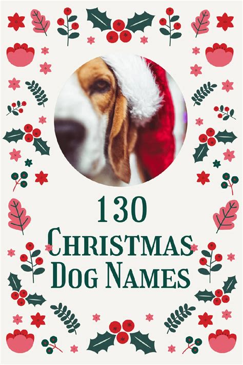 130 Christmas Dog Names For Holiday Puppies 130 Christmas Dog Names