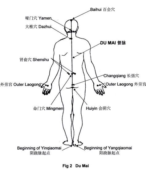 Related Image Qigong Tai Chi Qigong Acupuncture Points