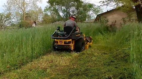 City Violates Their Own Mowing Policy Cutting Crazy Tall Grass With