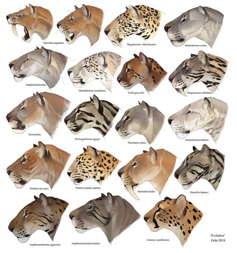 Evolution By Felinefire Big Cats Art Furry Art Creature Concept Art