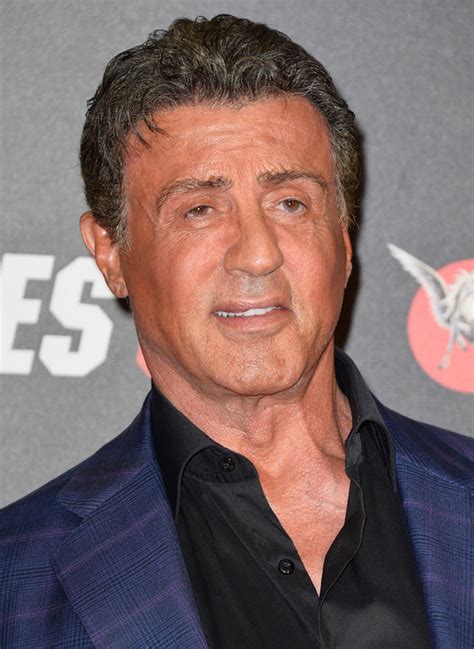 Nothing like a horse to calm me down. People - Sylvester Stallone