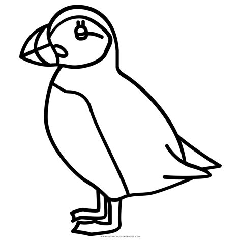 You can now download the best collection of puffins coloring pages image to print. Puffin Coloring Page - Ultra Coloring Pages