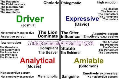 Temperament Personality Types Mbti Personality Types Personality Types Sanguine