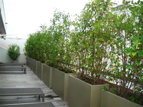 Bacs à plantes pour former un brise-vue | Amenagement jardin