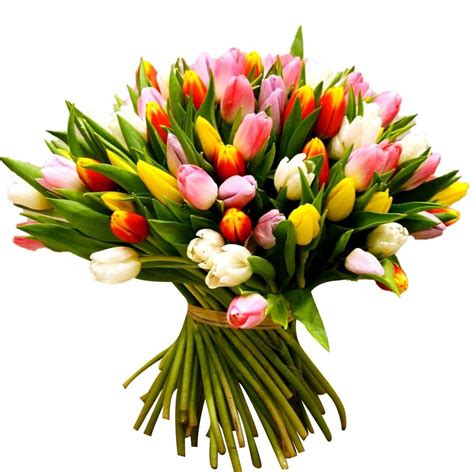 100 Tulip Giant Bouquetonline Flower Delivery Manilaphilippines