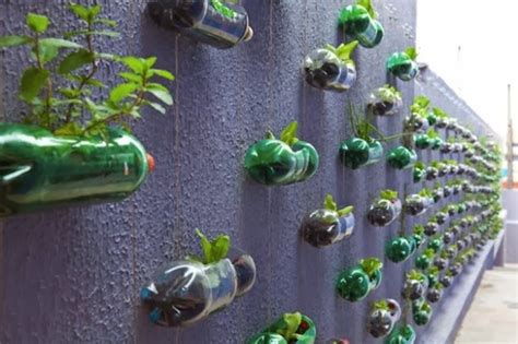 انتج فى المنزل Recycle Idea In Home افكار متنوعه للزراعة فى