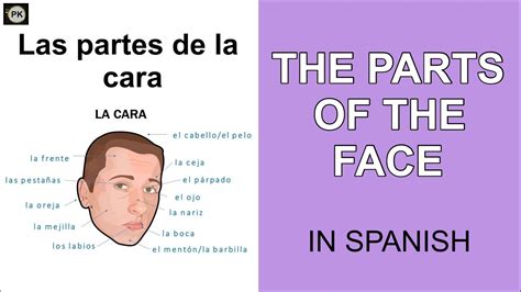 Spanish Lesson 16 Learn The Parts Of The Face In Spanish Youtube