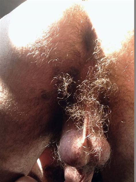 Gay Hairy Man Ass And Balls Sexiz Pix