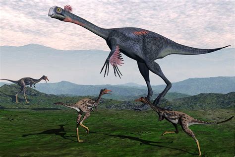 The 20 Biggest Dinosaurs And Prehistoric Reptiles