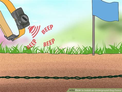 Let the dog wander near the edge of boundary on its own, just far enough to hear the beep of its receiver collar. 3 Ways to Install an Underground Dog Fence - wikiHow