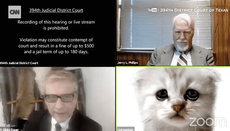 lawyer tells judge     cat  filter difficulties  zoom