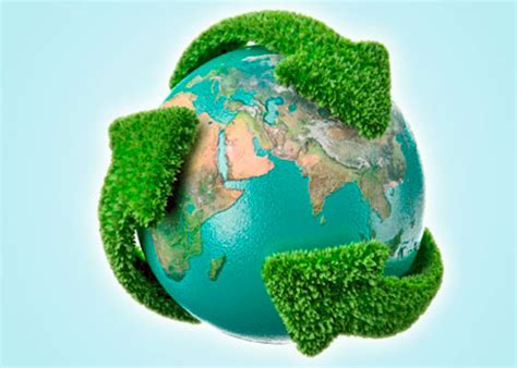 La Conservación Del Medio Ambiente Una Responsabilidad Ciudadana Un