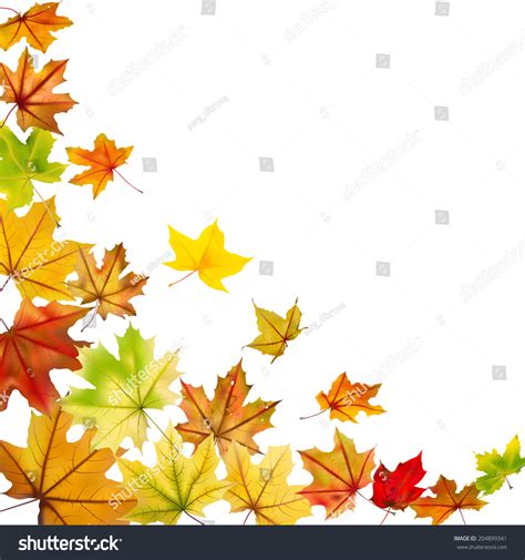Maple Autumn Falling Leaves Vector Illustration Stock Vector Royalty