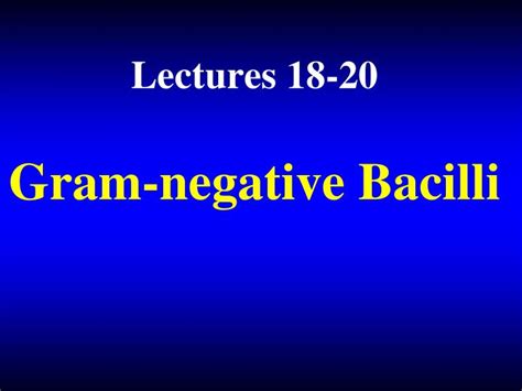 Ppt Gram Negative Bacilli Powerpoint Presentation Free Download Id