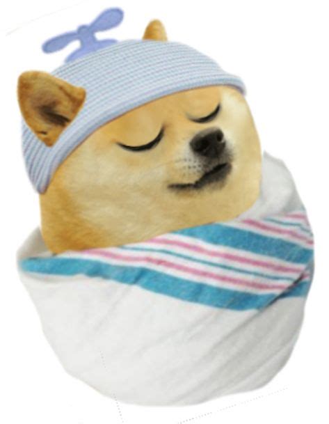 23 Template Ideas In 2021 Doge Meme Cute Memes Doge Dog