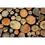 Wood Logs Wallpapers  Wallpaper Cave