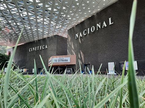 Este Fin De Semana Regresan Las Funciones Al Aire Libre En La Cineteca Nacional