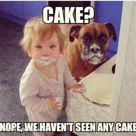 Missing Cake Funny Meme Baby Puppy Eating Cake Cute