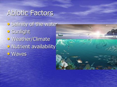 Ppt Marine Ecosystems Powerpoint Presentation Free Download Id2137875