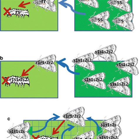 Bioassay and field evaluation there is a need of new ways for protecting plant crops against predators and pathogens while avoiding the use of environmentally aggressive chemicals to meet the demands. Evolution of resistance to a single Bt toxin crop under ...