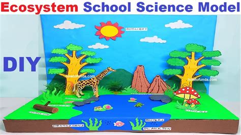 Ecosystem School Science Model For Exhibition Diy Simple And Easy