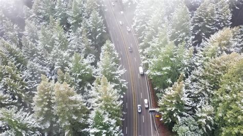 Snow Sightings In San Jose San Mateo County Santa Cruz Mountains