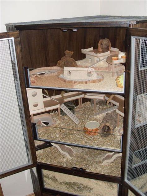 See more ideas about hamster cage, hamster, hamster diy. Hamster Cage Idea #DIY | DIY Cages for Pet Rodents | Pinterest