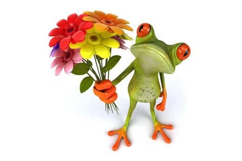 free download funny cartoon 3d frog hd desktop wallpaper hd desktop wallpaper [1600x1200] for