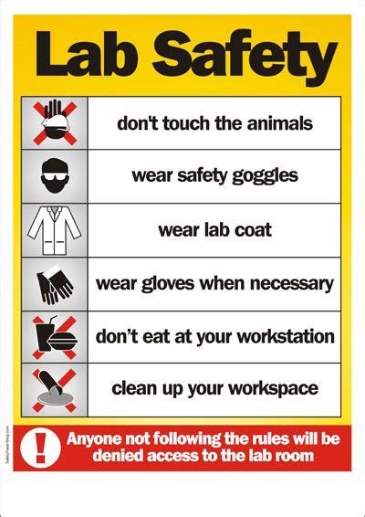 Lab Safety Lab Safety Poster Science Lab Safety Rules Science Safety Posters Lab Safety