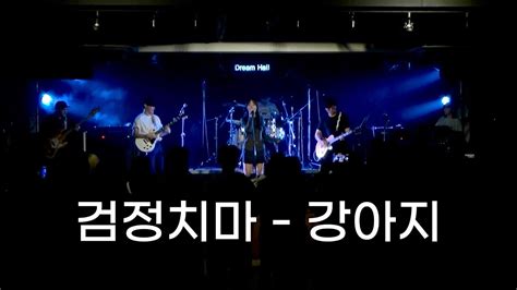 검정치마 강아지 합정 드림홀 연합공연 Youtube