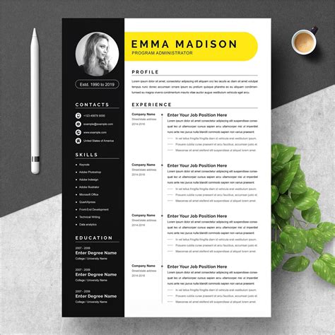 Fancy Resume Templates For Free Resume Example Gallery