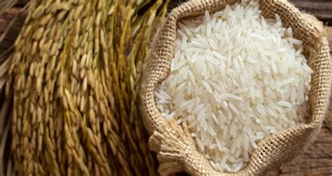Medium Grain Rice India Non Basmati Rice Speciality Fresh 25 Kg And 50