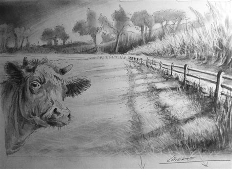 Drawing Grass And Perspective And Cow By Lineke Lijn On Deviantart