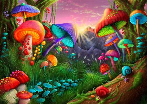 Fantasy Mushroom Land Colorful Fantasy Mushroom Magical Hd