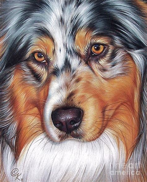 Australian Shepherd By Elena Kolotusha Dog Paintings Dog Art Dog
