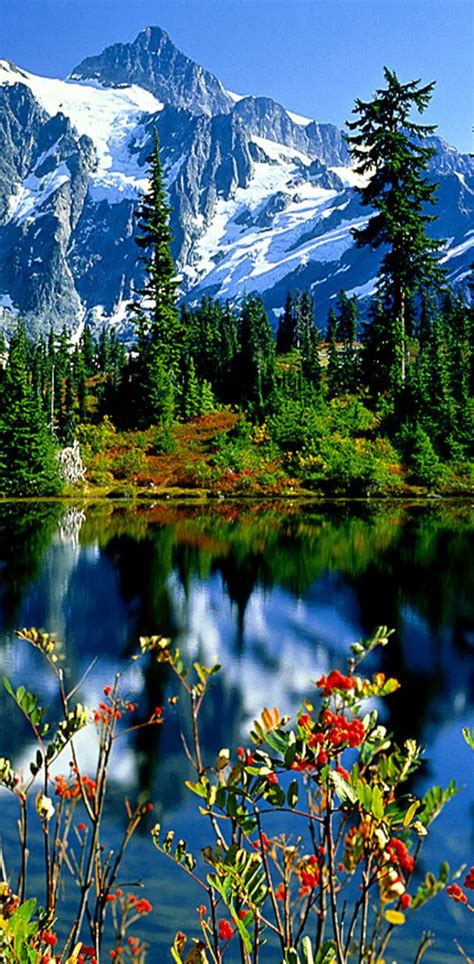 Beautiful Nature Wallpaper By Dashti33 Download On Zedge™ F14e