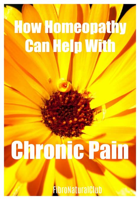 Homeopathic Remedies For Chronic Pain Fibro Natural Club