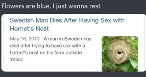 flowers are blue i just wanna rest swedish man dies after having sex with hornet s nest may 16