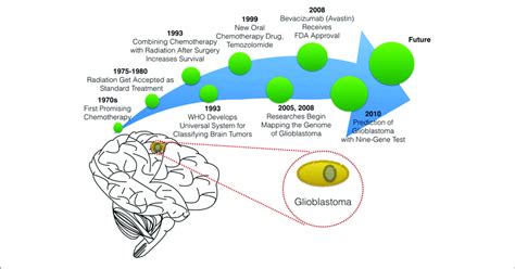 The Timeline Of Glioblastoma Therapy Download Scientific Diagram