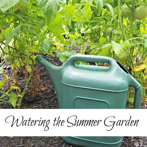 How To Make Watering Your Vegetable Garden Easier Urban Garden